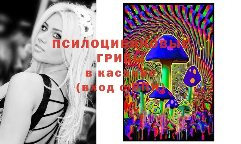 MEGA как войти  Волосово  Псилоцибиновые грибы Psilocybe  где можно купить наркотик 